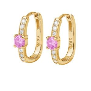Princess Hoops Earrings in Gold and Pink